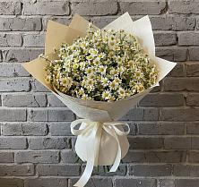 Букет цветов из:  Ромашки #REPLACE_PRED# Роговской